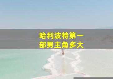 哈利波特第一部男主角多大