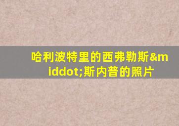 哈利波特里的西弗勒斯·斯内普的照片