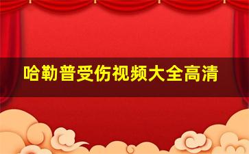 哈勒普受伤视频大全高清