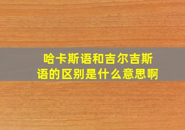 哈卡斯语和吉尔吉斯语的区别是什么意思啊