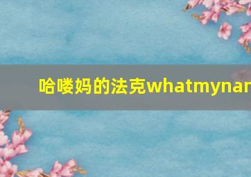 哈喽妈的法克whatmyname