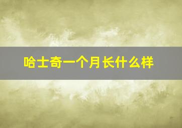 哈士奇一个月长什么样