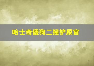 哈士奇傻狗二撞铲屎官