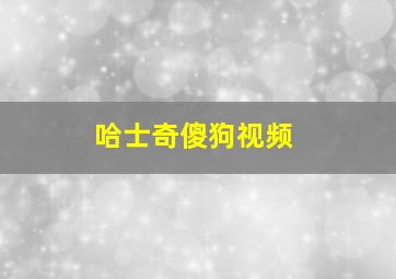 哈士奇傻狗视频