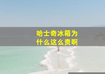 哈士奇冰箱为什么这么贵啊