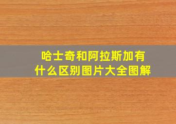 哈士奇和阿拉斯加有什么区别图片大全图解