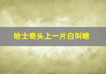 哈士奇头上一片白叫啥