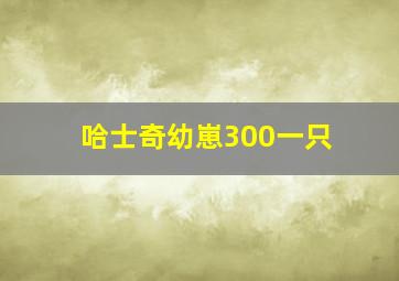 哈士奇幼崽300一只