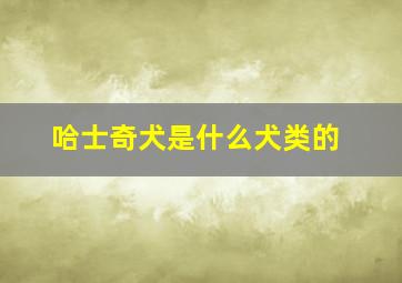 哈士奇犬是什么犬类的