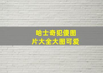 哈士奇犯傻图片大全大图可爱