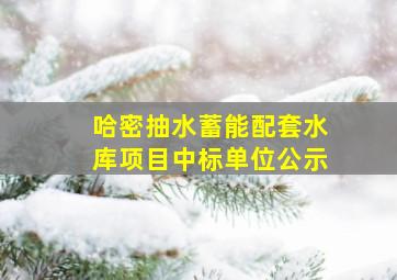 哈密抽水蓄能配套水库项目中标单位公示