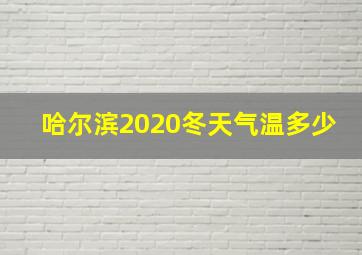 哈尔滨2020冬天气温多少