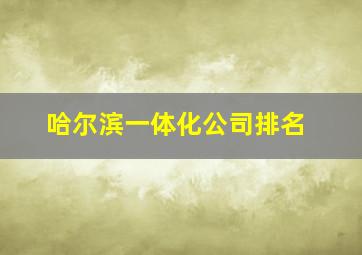 哈尔滨一体化公司排名