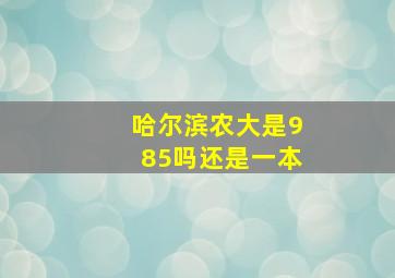 哈尔滨农大是985吗还是一本