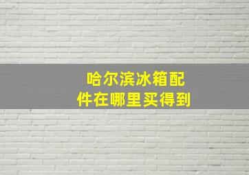 哈尔滨冰箱配件在哪里买得到