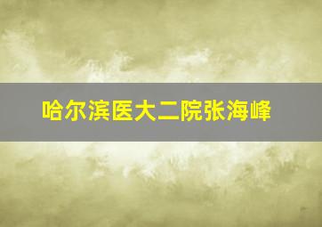 哈尔滨医大二院张海峰