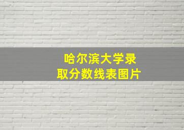 哈尔滨大学录取分数线表图片