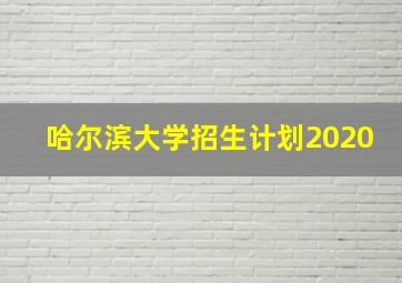 哈尔滨大学招生计划2020