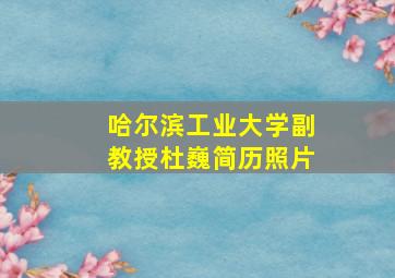 哈尔滨工业大学副教授杜巍简历照片