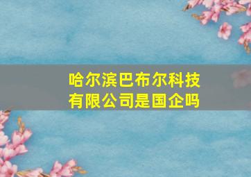 哈尔滨巴布尔科技有限公司是国企吗