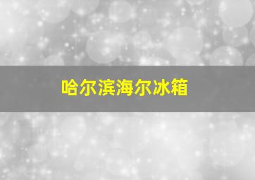 哈尔滨海尔冰箱