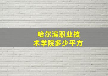 哈尔滨职业技术学院多少平方