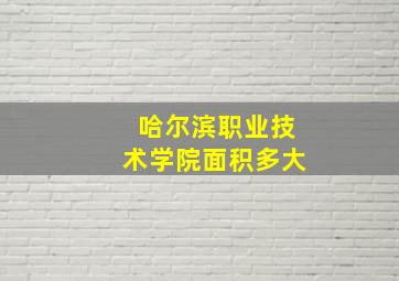 哈尔滨职业技术学院面积多大