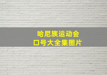 哈尼族运动会口号大全集图片