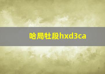 哈局牡段hxd3ca