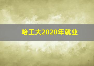 哈工大2020年就业