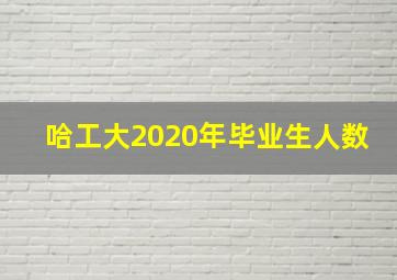 哈工大2020年毕业生人数