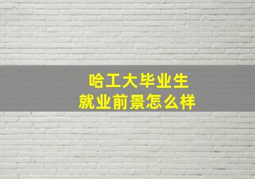 哈工大毕业生就业前景怎么样