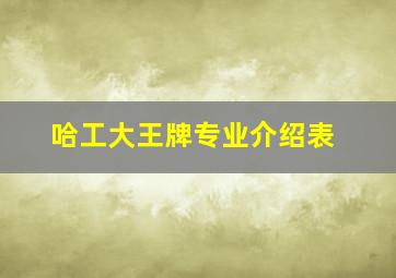 哈工大王牌专业介绍表