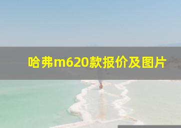 哈弗m620款报价及图片