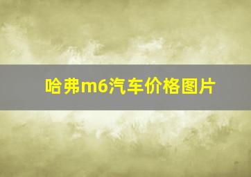 哈弗m6汽车价格图片