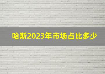 哈斯2023年市场占比多少