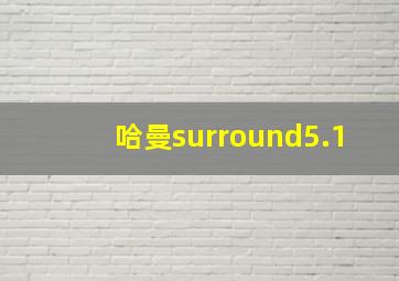 哈曼surround5.1