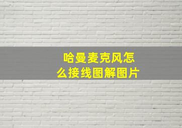 哈曼麦克风怎么接线图解图片