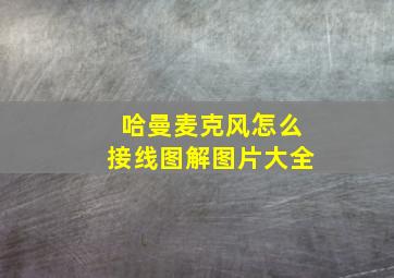 哈曼麦克风怎么接线图解图片大全