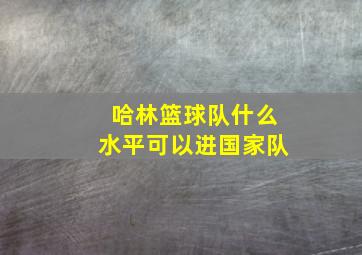 哈林篮球队什么水平可以进国家队