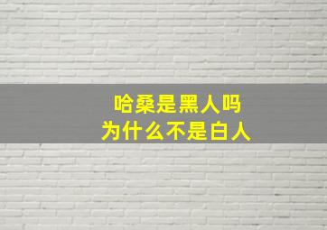 哈桑是黑人吗为什么不是白人