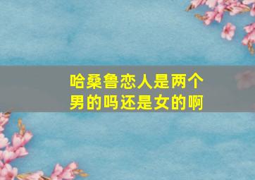 哈桑鲁恋人是两个男的吗还是女的啊