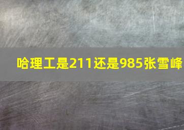 哈理工是211还是985张雪峰