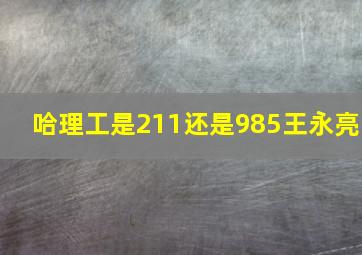 哈理工是211还是985王永亮