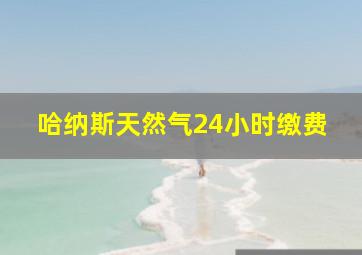 哈纳斯天然气24小时缴费