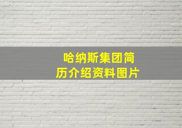 哈纳斯集团简历介绍资料图片