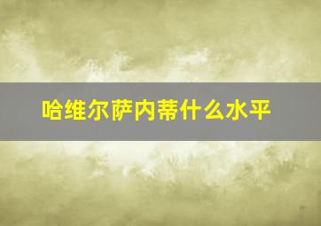 哈维尔萨内蒂什么水平