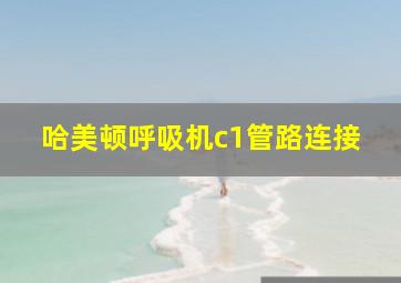 哈美顿呼吸机c1管路连接