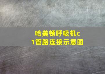 哈美顿呼吸机c1管路连接示意图