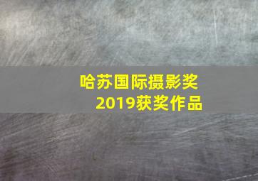 哈苏国际摄影奖2019获奖作品